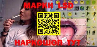 дмт Донской