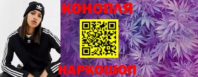 дмт Донской