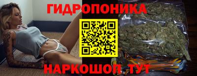 дмт Донской