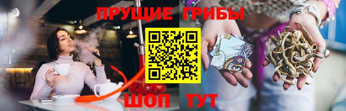 Муравленко  Псилоцибиновые грибы GOLDEN TEACHER  Псилоцибиновые грибы Psilocybine cubensis  Вход с VPN 